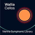 Vienna Big Bang Orchestra Wallia - Cellos