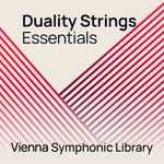 Vienna Duality Strings Essentials