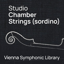 Vienna Symphonic Library Studio Chamber Strings (Sordino)