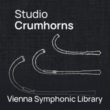 Vienna Symphonic Library Studio Crumhorns