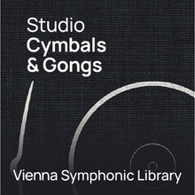 Vienna Symphonic Library Studio Cymbals & Gongs