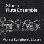 Vienna Studio Flute Ensemble - Crossgrade from VI Flute Ensemble Full Library