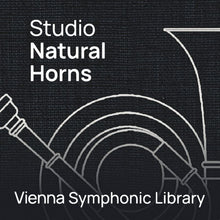 Vienna Symphonic Library Studio Natural Horns