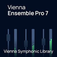 Vienna Symphonic Library Ensemble Pro 7