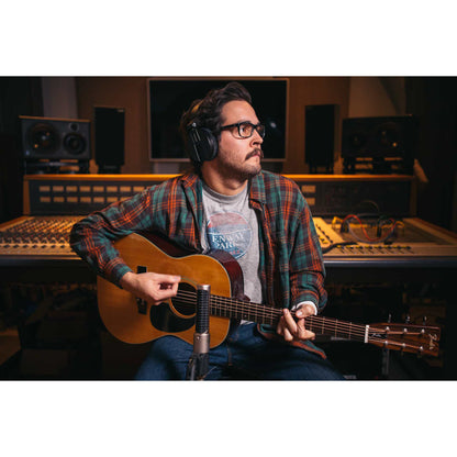 AEA N22 Ribbon Microphone (Phantom-Powered)