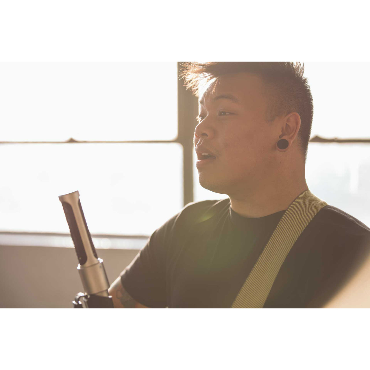 AEA N22 Ribbon Microphone (Phantom-Powered)