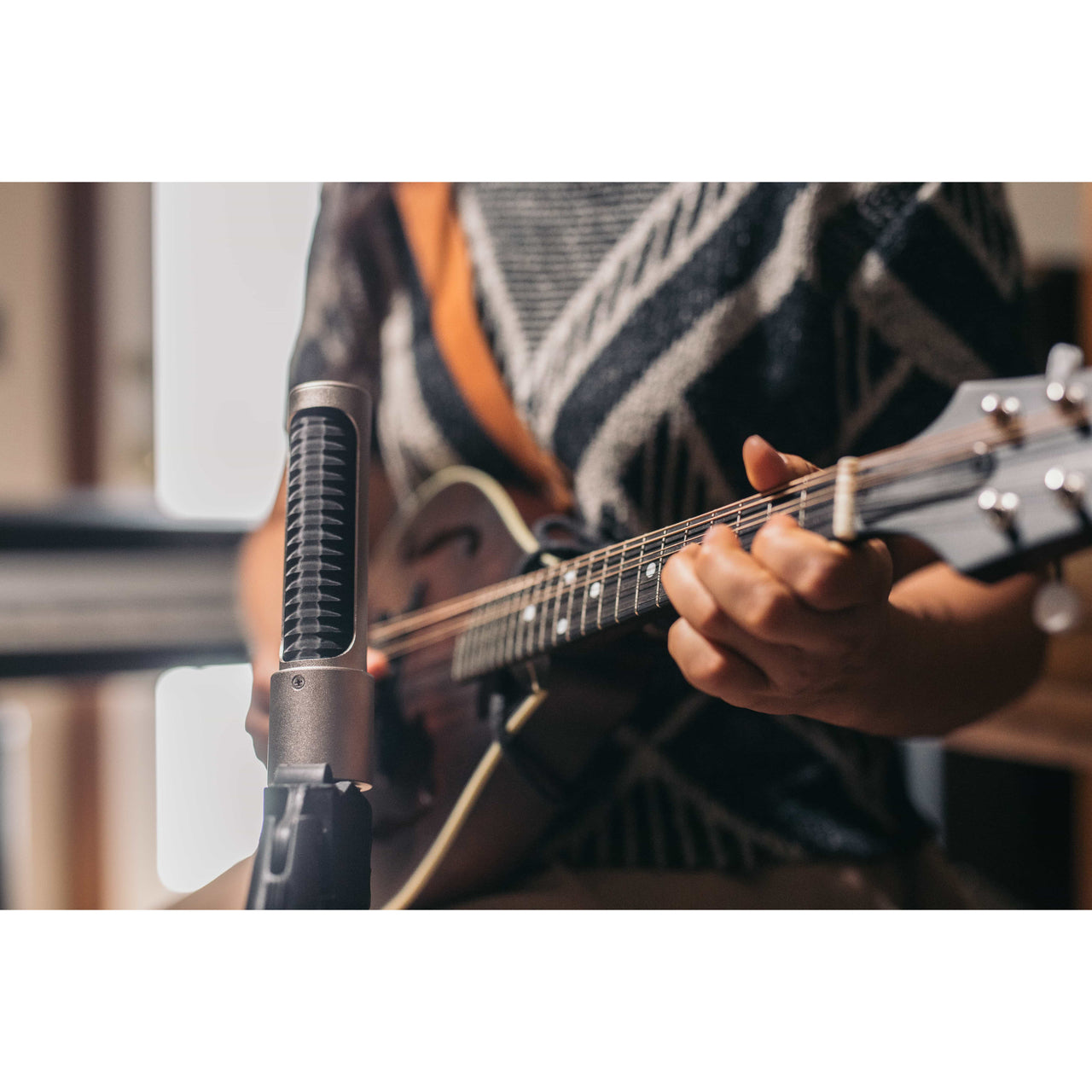 AEA N22 Ribbon Microphone (Phantom-Powered)