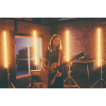 AEA N22 Ribbon Microphone (Phantom-Powered)