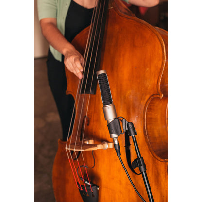 AEA N22 Ribbon Microphone (Phantom-Powered)