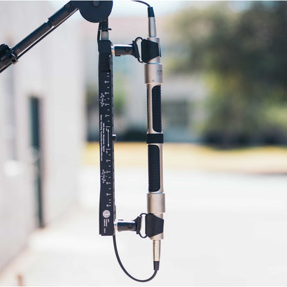 AEA N22 Ribbon Microphone Stereo Kit (Matched Pair)