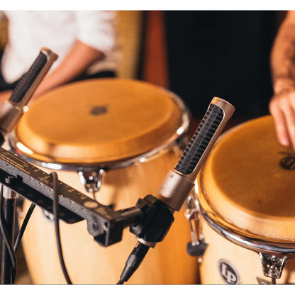 AEA N22 Ribbon Microphone Stereo Kit (Matched Pair)