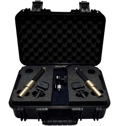 AEA N22 Ribbon Microphone Stereo Kit (Matched Pair)