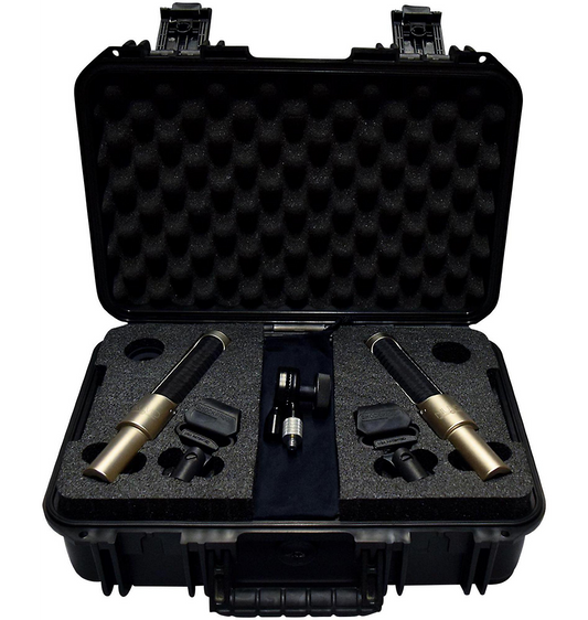 AEA N22 Ribbon Microphone Stereo Kit (Matched Pair)