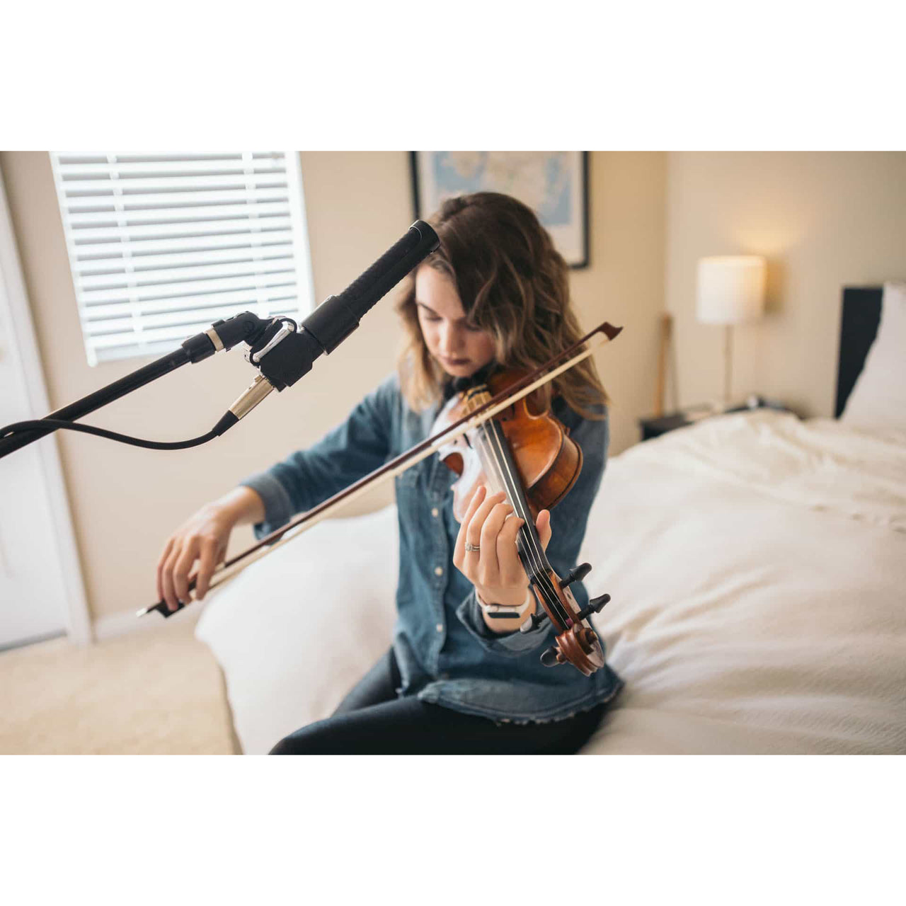 AEA N8 Ribbon Microphone