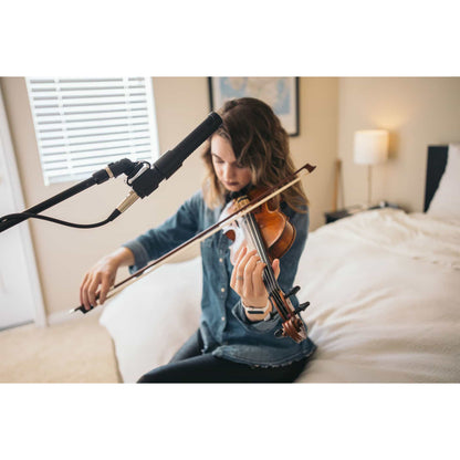 AEA N8 Ribbon Microphone