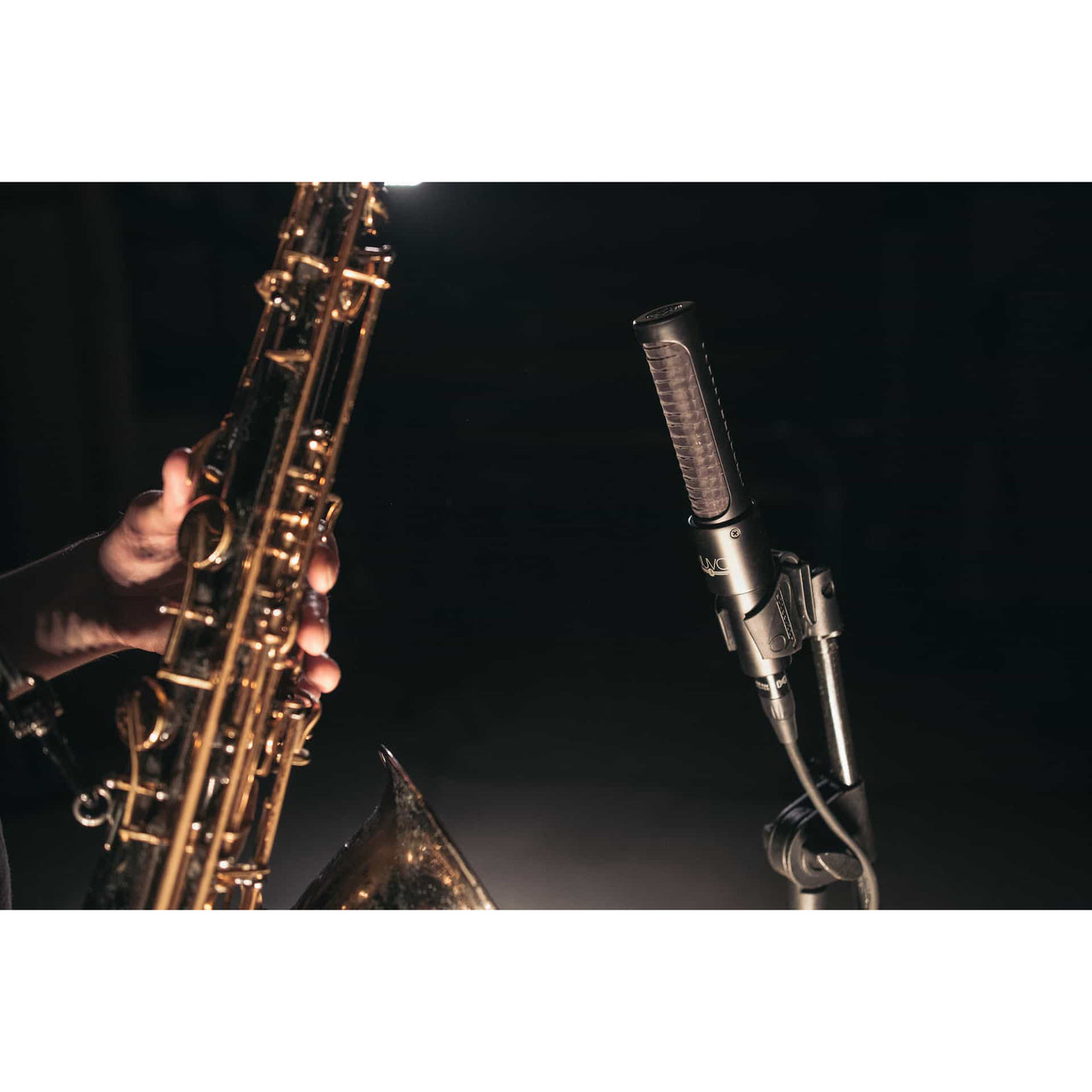 AEA N8 Ribbon Microphone