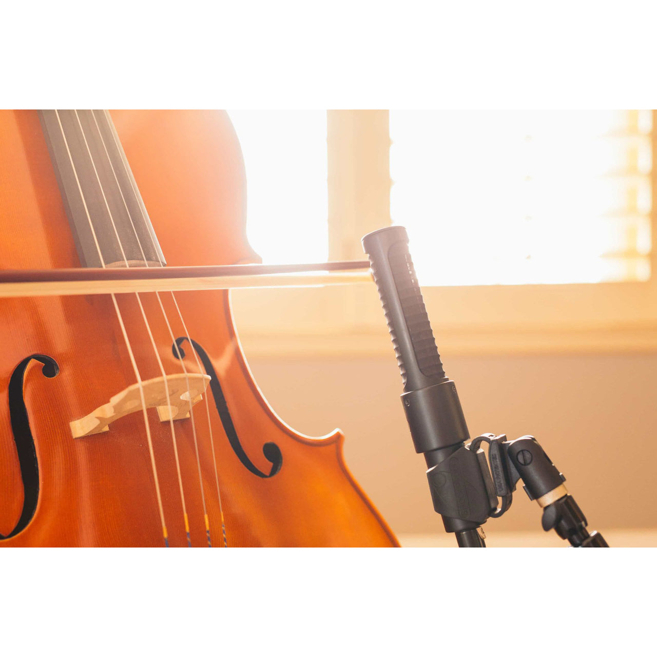 AEA N8 Ribbon Microphone