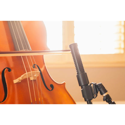 AEA N8 Ribbon Microphone