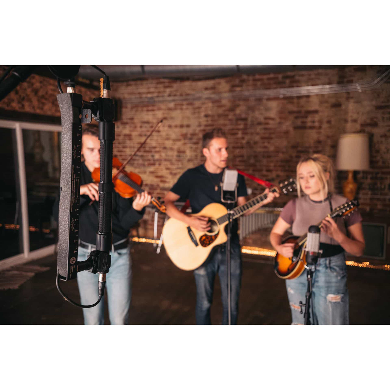 AEA N8 Ribbon Microphone Stereo Kit (Matched Pair)