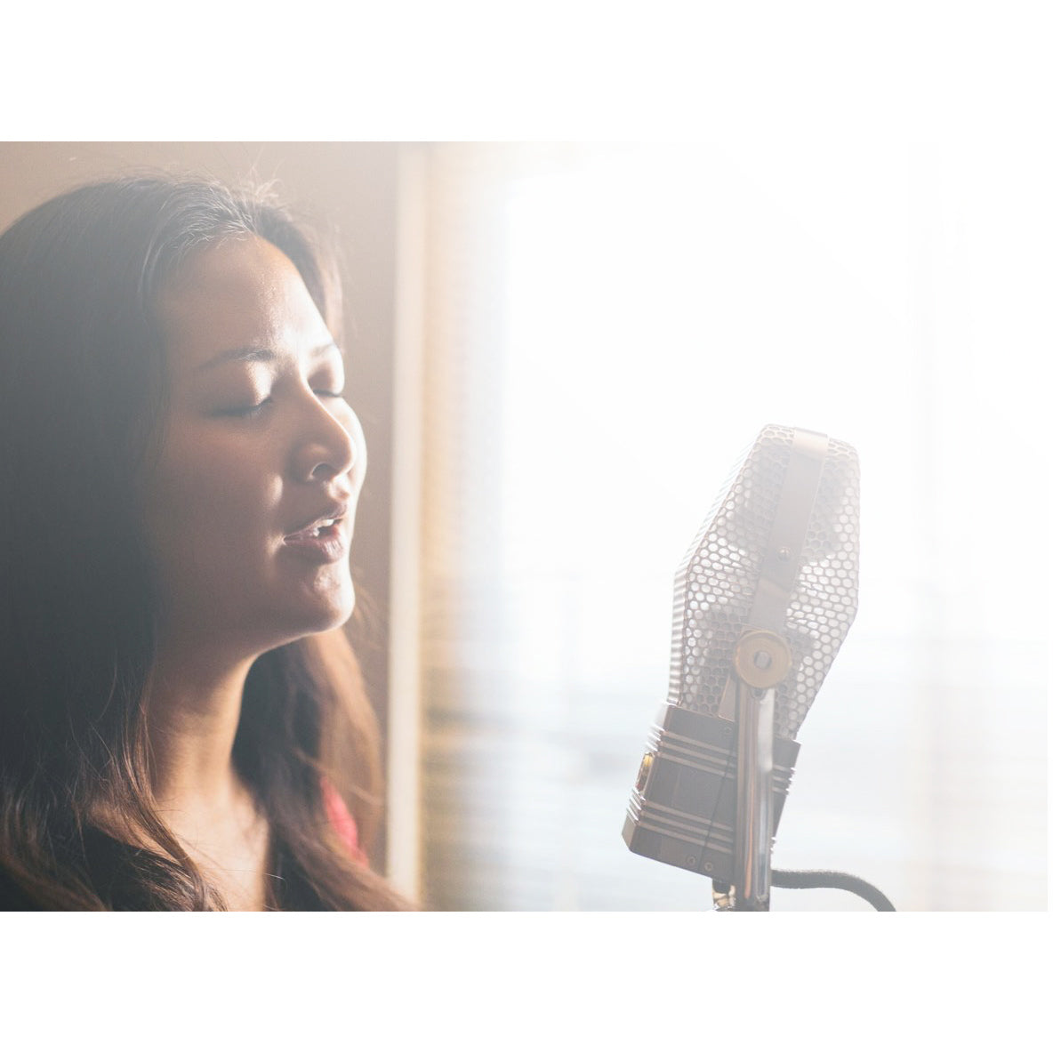 AEA R44C Ribbon Microphone