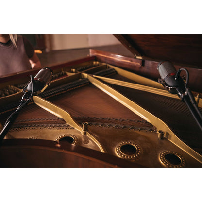 AEA R84 Ribbon Microphone