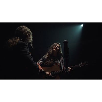 AEA R88A Stereo Ribbon Microphone (Active)