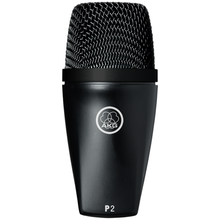 AKG P2 Dynamic Microphone