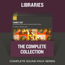 Applied Acoustics Systems The Libraries Sound Pack Bundle
