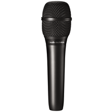 Audio-Technica AT2010 Condenser Microphone