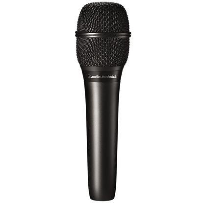 Audio-Technica AT2010 Condenser Microphone