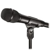 Audio-Technica AT2010 Condenser Microphone