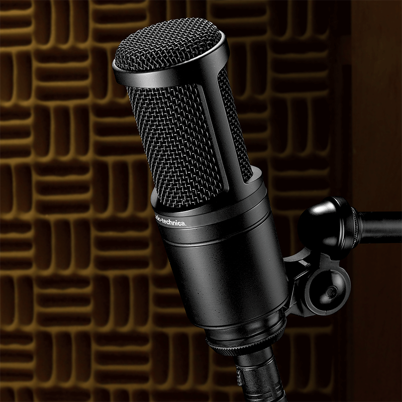 Audio-Technica AT2020 Condenser Microphone