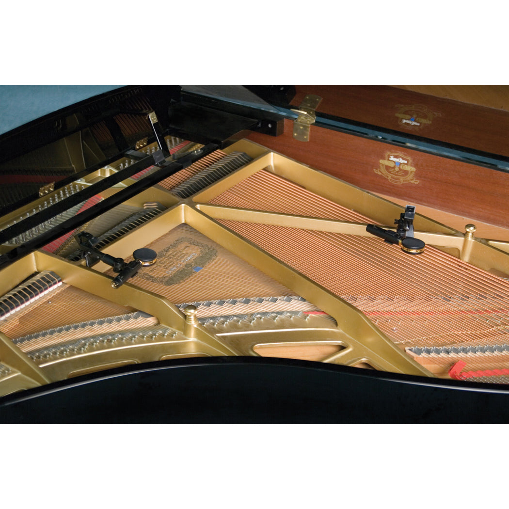 Audix SCX25A Condenser Microphone