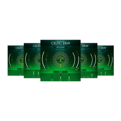 Best Service Celtic ERA 2