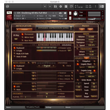Best Service Chris Hein Ensemble Strings Upgrade