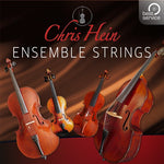 Best Service Chris Hein Ensemble Strings Upgrade