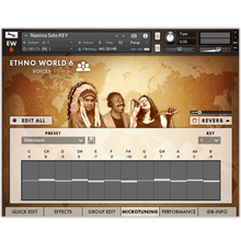 Best Service Ethno World 6 Voices Upgrade