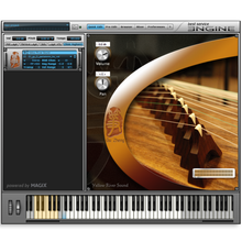 Best Service Gu Zheng