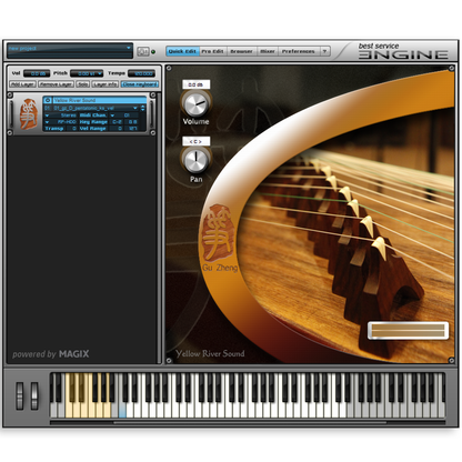 Best Service Gu Zheng
