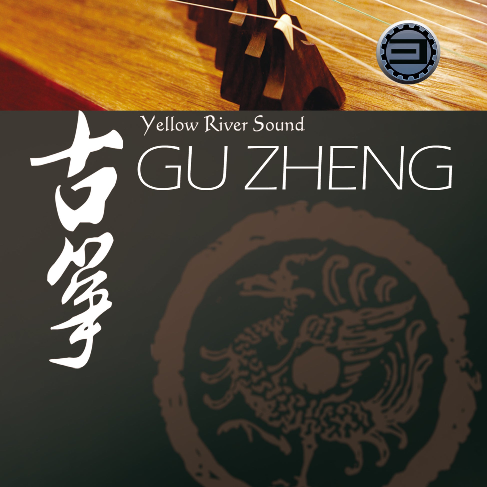 Best Service Gu Zheng