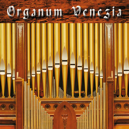 Best Service Organum Venezia