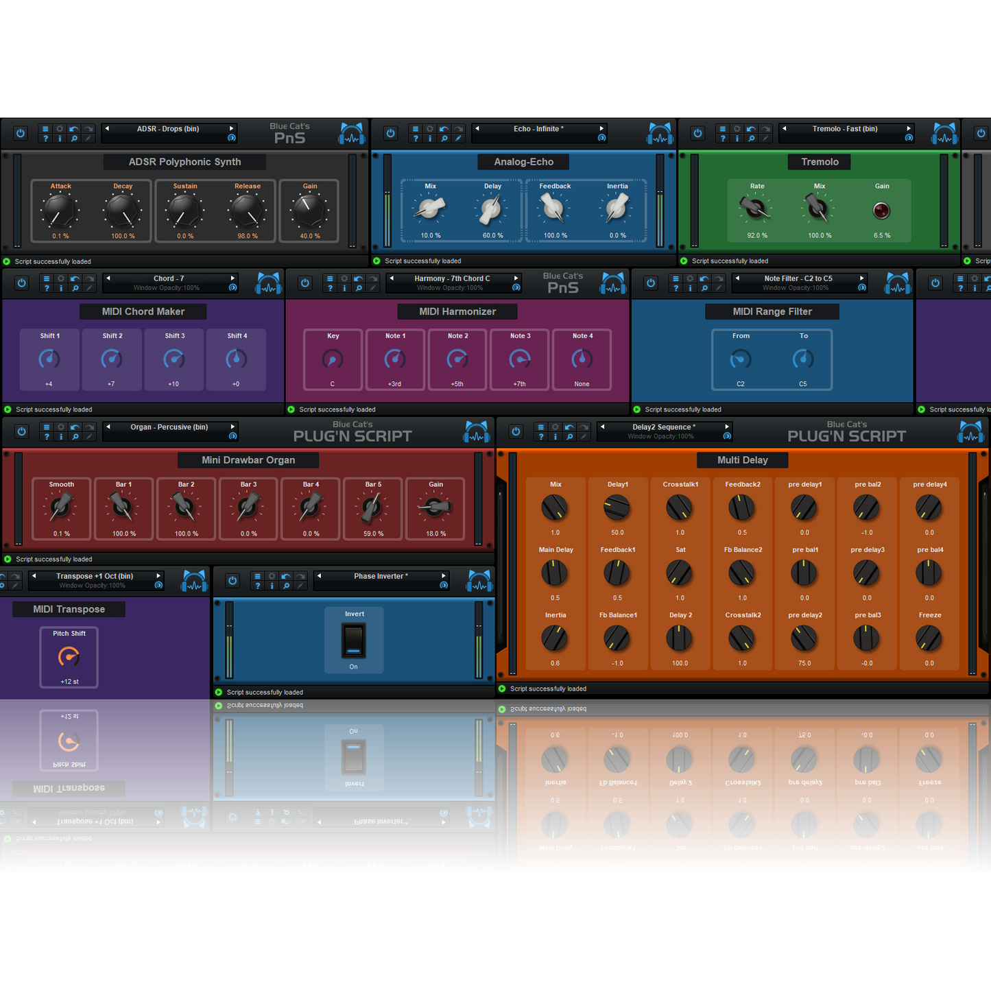 Blue Cat Audio Plug'n Script