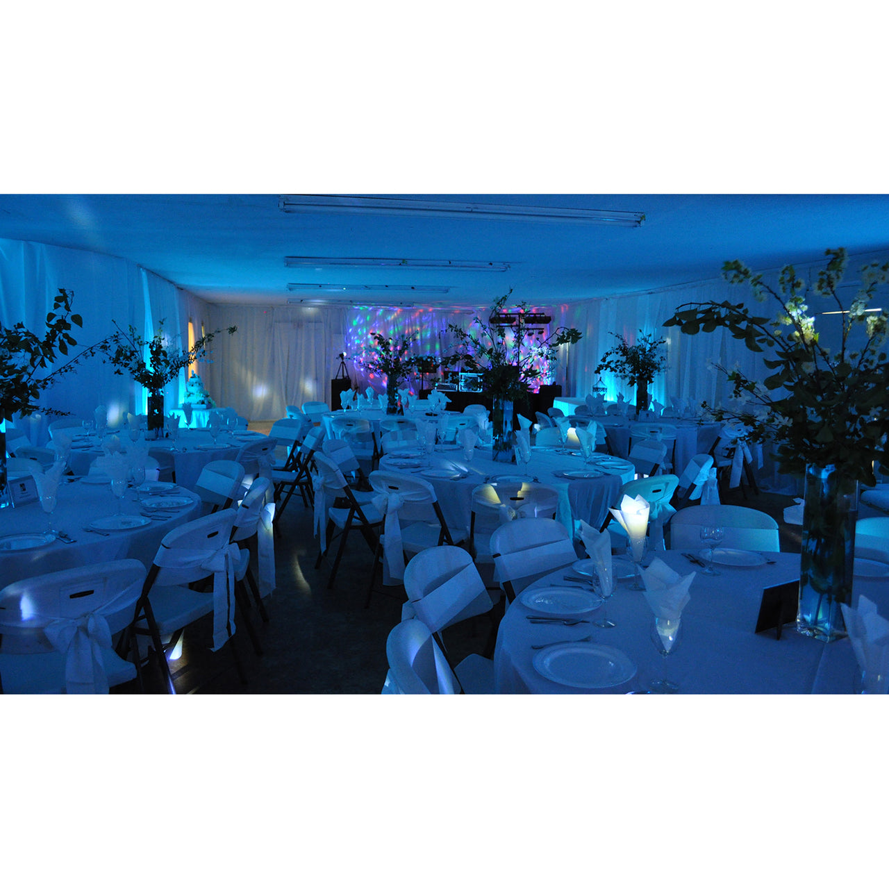 Chauvet SlimPAR 56 LED Lighting Fixture - SLIMPAR56