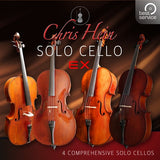 Best Service Chris Hein Solo Strings Complete Upgrade Violin