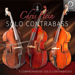 Best Service Chris Hein Solo Strings Complete Upgrade Violin