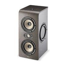 Focal Shape Twin Studio Monitor (Single)