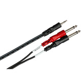 HOSA Stereo Breakout 3.5 mm TRS to Dual 1/4 in TS (10 ft) - CMP-159