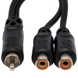 HOSA Y Cable RCA to Dual RCAF - YRA-104