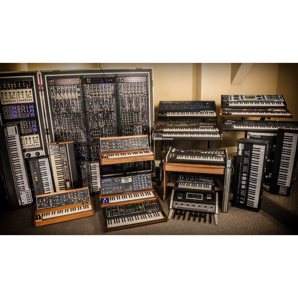 IK Multimedia Syntronik Legendary Synth Powerhouse