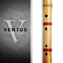 Impact Soundworks Ventus Bansuri 
